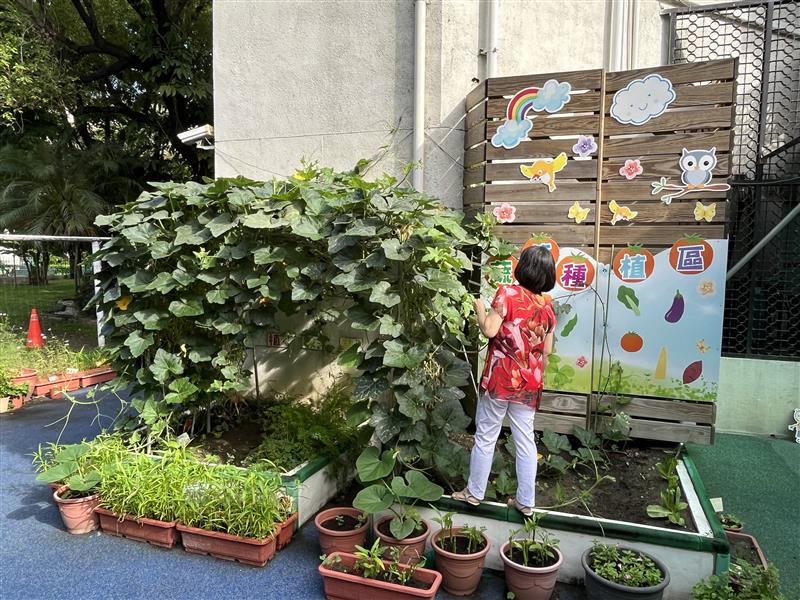 蔬果種植區, 中鋼幼兒園