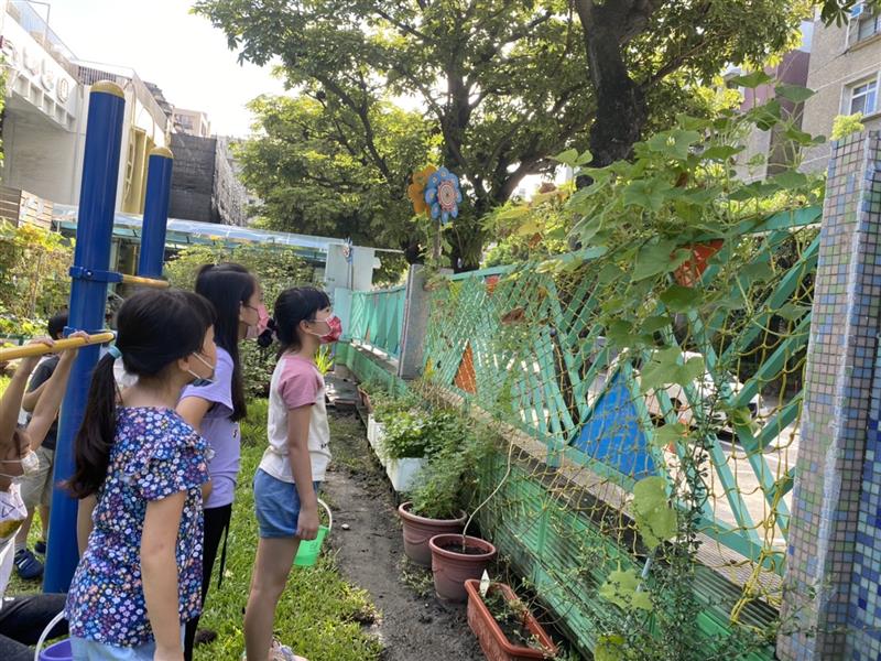 校園新發現圍牆的「葫蘆瓜」結了五六個好可愛~, 中鋼幼兒園